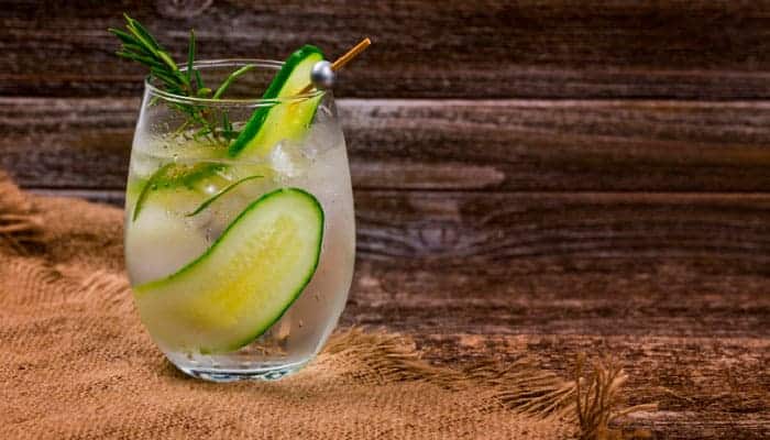 Leia mais sobre o artigo Drinks com Gin Tônica e Pepino Receita Super Refrescante!