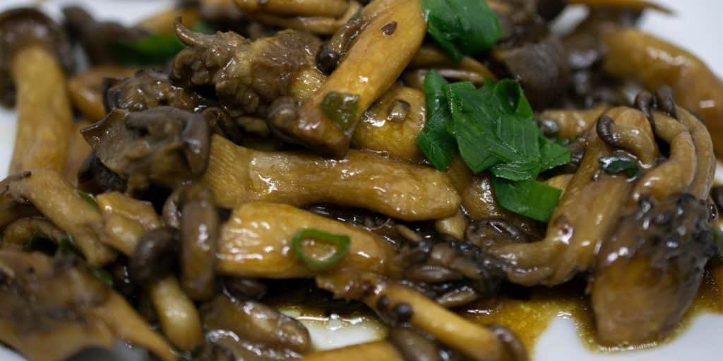 Como Preparar Shimeji Na Manteiga Uma Receita Bem Saborosa Para Gosta