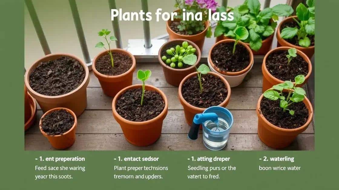 passo a passo para plantar em vasos