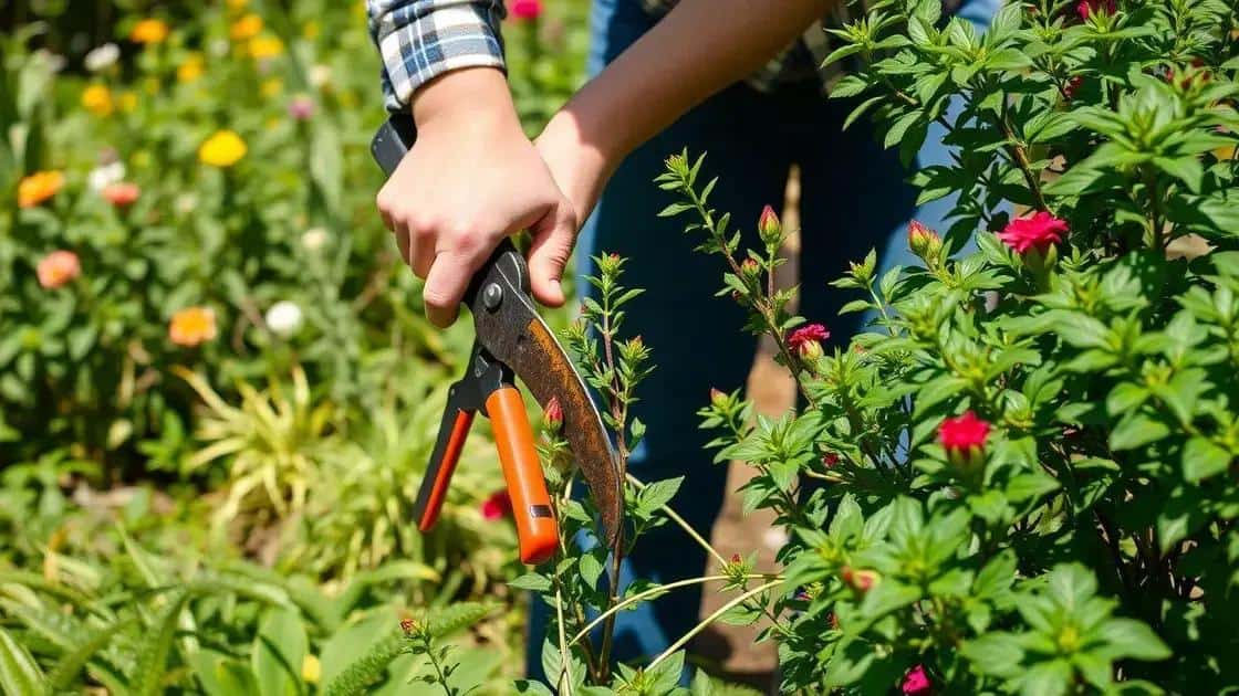 dicas de poda sem prejudicar suas plantas