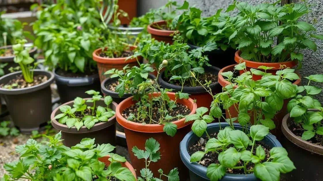 jardim funcional ate em apartamentos
