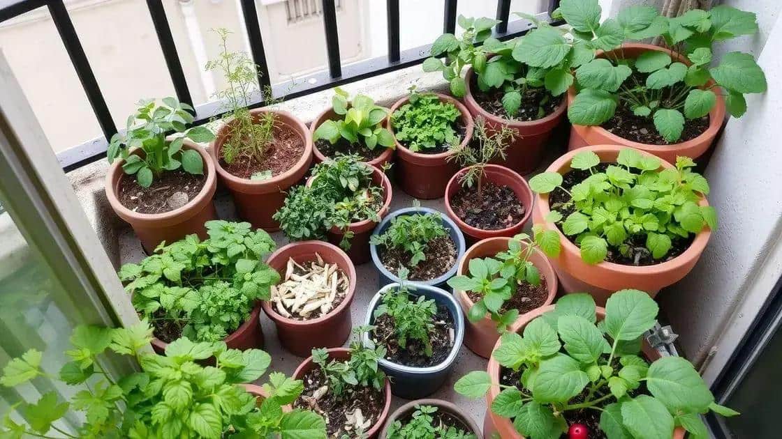 Benefícios de ter uma horta em sacada pequena