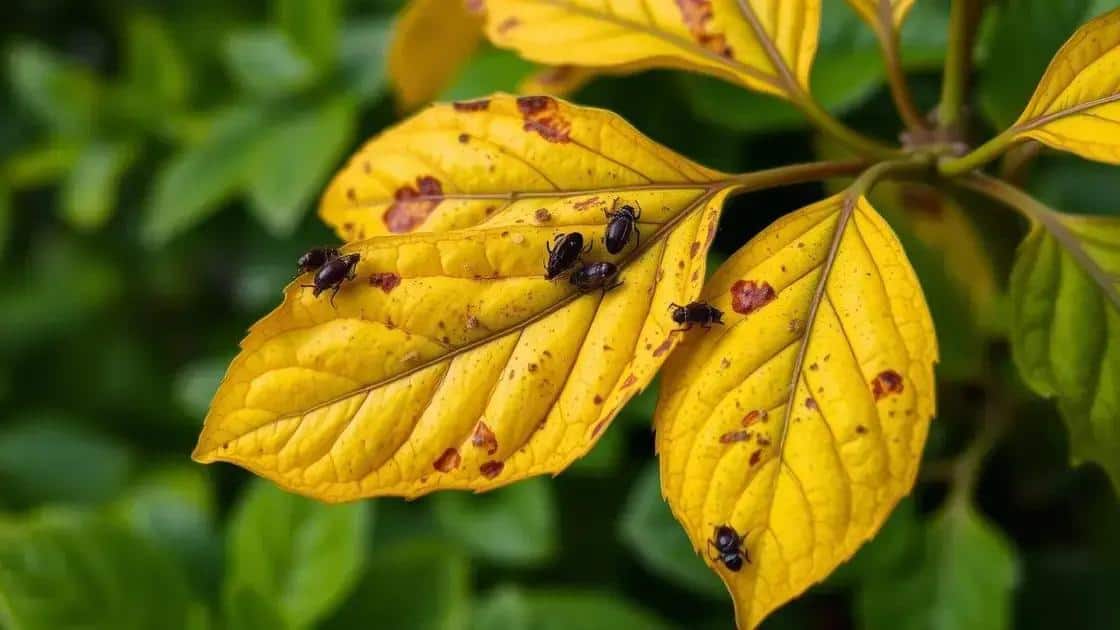 Como identificar se a planta está doente