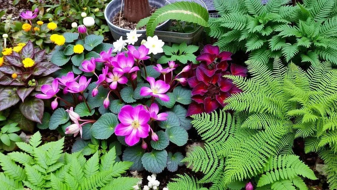 plantas ideais para o frio