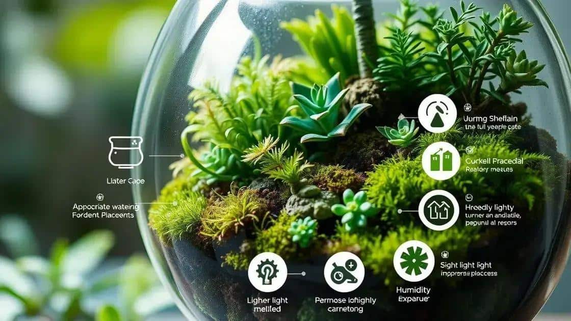 Cuidados essenciais para manter seu terrário saudável