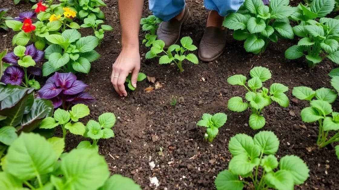 erros comuns na jardinagem e como evitá-los