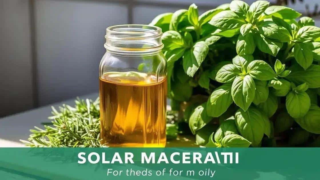 Materiais necessários para a maceração solar