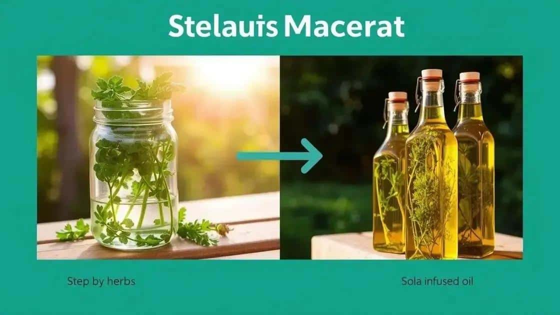 Passo a passo para realizar a maceração solar