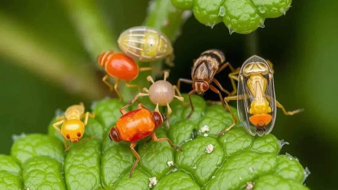 Identificando as pragas mais comuns em plantas ornamentais