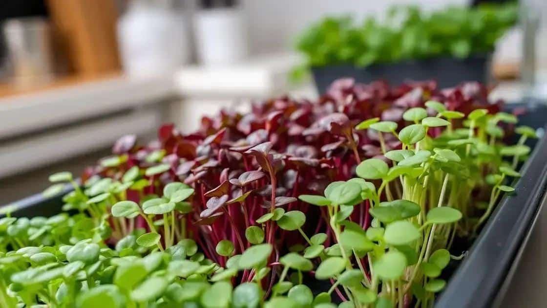 O que são microgreens e por que cultivar
