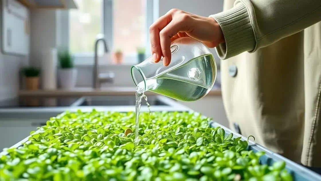 Dicas para cuidar e colher seus microgreens
