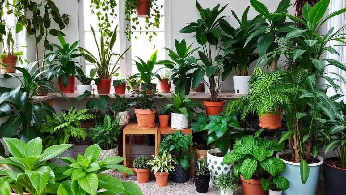 Escolhendo as plantas certas para espaços internos