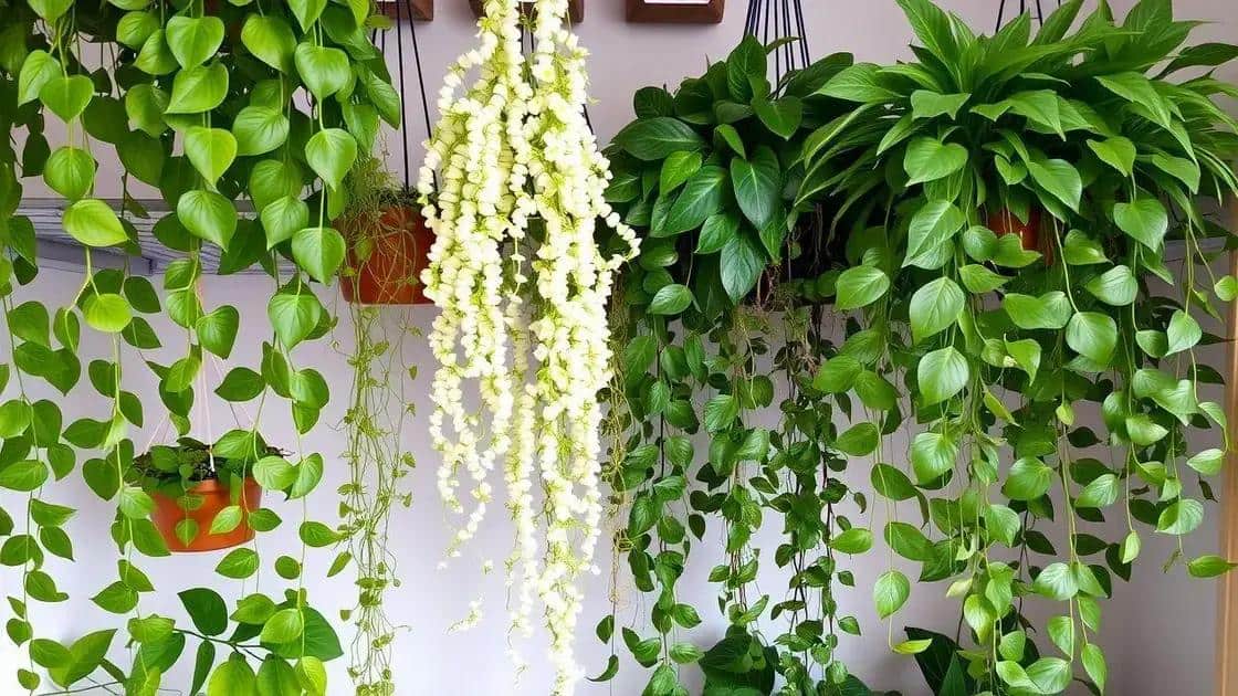 plantas pendentes para ambientes compactos